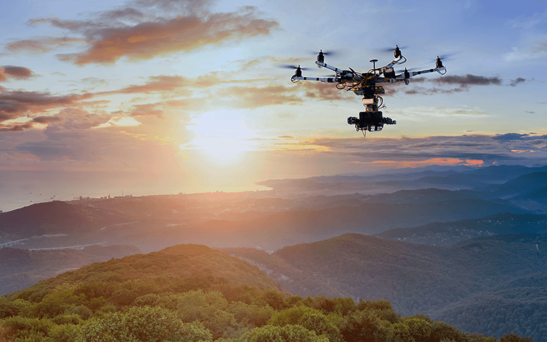 The Best Forestry Drones for Forest Management