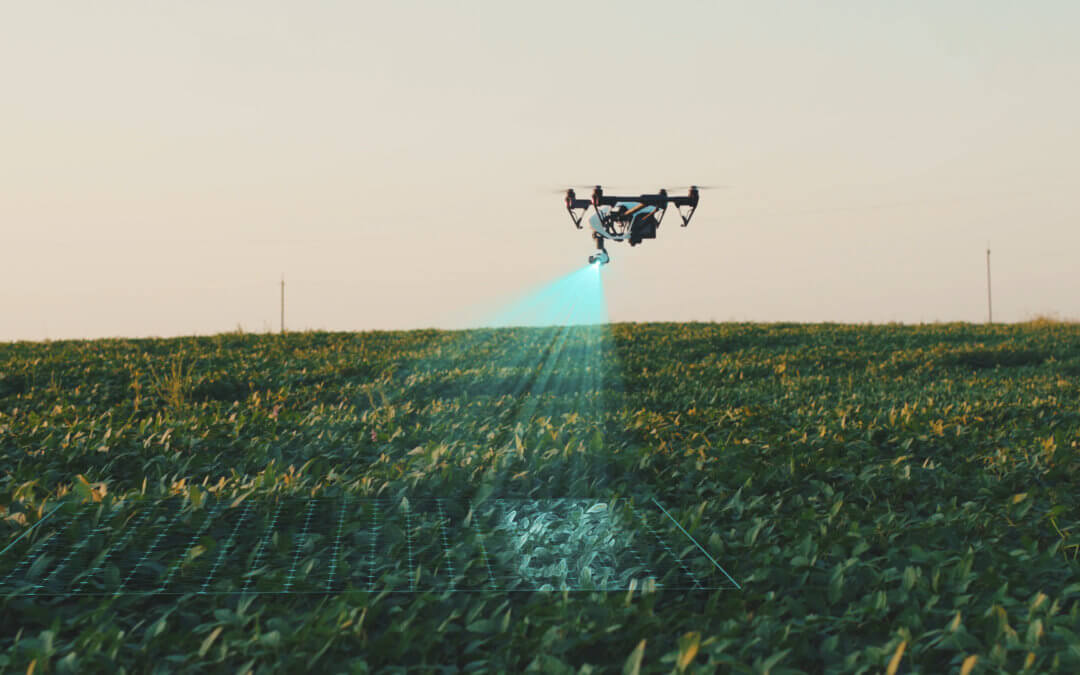 Precision Agriculture & Drones: What’s the Relationship?