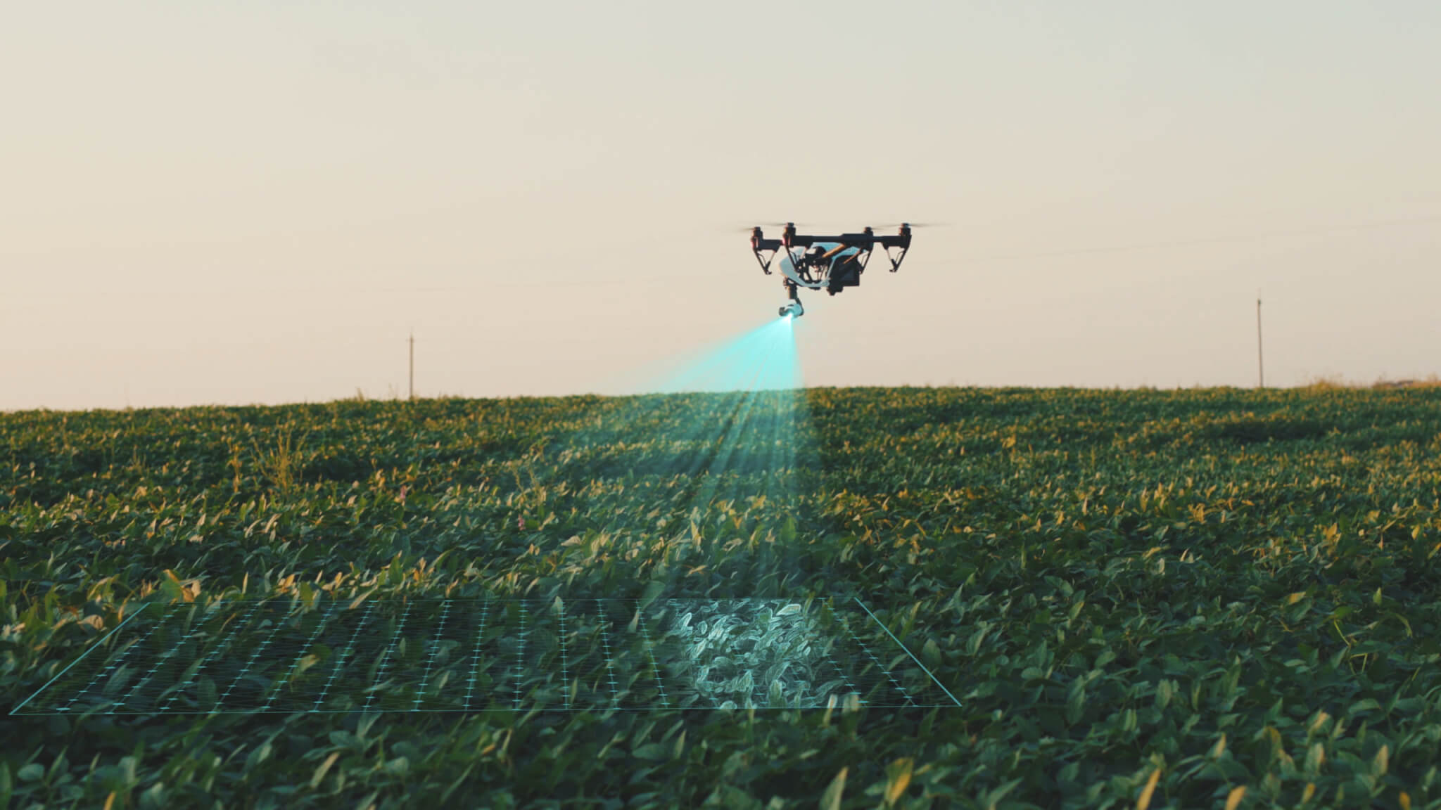 Aerial AgTech: Drones Transforming Agricultural Insurance